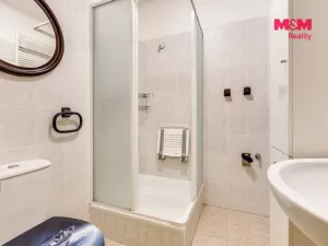 Prodej bytu 1+kk, Beroun - Beroun-Město, U Židovského hřbitova, 41 m2
