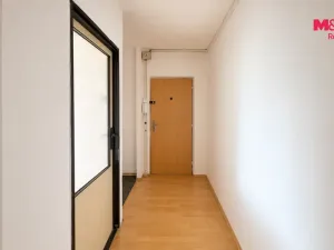 Prodej bytu 2+1, Bílina - Pražské Předměstí, Aléská, 48 m2