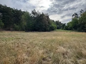 Prodej pozemku pro bydlení, Vlčatín, 56720 m2