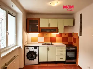 Pronájem bytu 1+1, Plzeň - Jižní Předměstí, Raisova, 30 m2