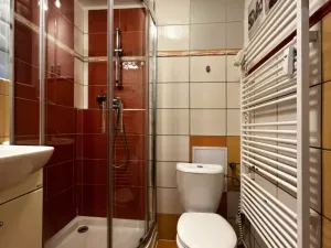 Pronájem bytu 1+1, Plzeň - Jižní Předměstí, Raisova, 30 m2