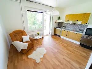 Prodej vícegeneračního domu, Uherské Hradiště, Pod Lipkami, 261 m2