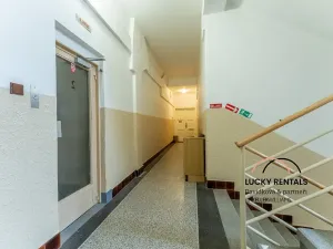 Pronájem bytu 3+1, Praha - Staré Město, Havelská, 135 m2