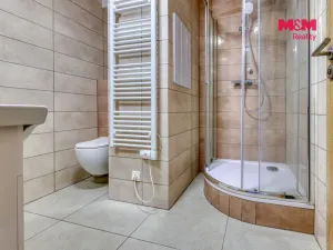 Pronájem bytu 1+1, Dobřany, Loudů, 40 m2