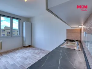 Pronájem bytu 1+1, Dobřany, Loudů, 40 m2