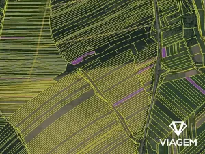 Prodej podílu pole, Velká nad Veličkou, 2740 m2