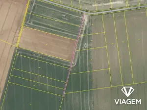 Prodej podílu pole, Kamenné Zboží, 1352 m2