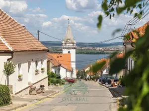 Prodej činžovního domu, Pavlov, Na Návsi, 368 m2