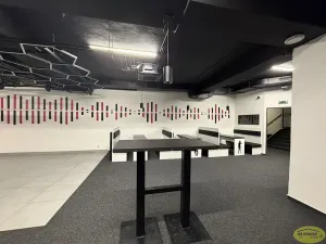 Pronájem komerční nemovitosti, Kroměříž, Křižná, 250 m2