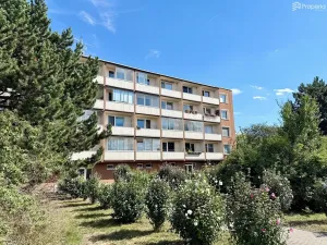 Prodej bytu 3+1, Hrušovany u Brna, Sídliště, 73 m2