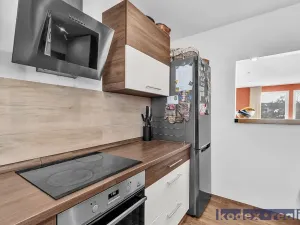 Prodej rodinného domu, Hradec Králové, U Jednoty, 300 m2