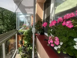 Prodej bytu 3+1, Frýdek-Místek - Místek, Frýdlantská, 76 m2