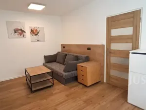 Pronájem bytu 1+1, Písek, 17. listopadu, 41 m2