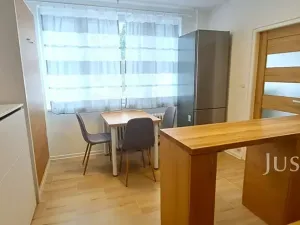 Pronájem bytu 1+1, Písek, 17. listopadu, 41 m2