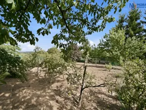 Prodej pozemku pro bydlení, Bílá Lhota, 774 m2