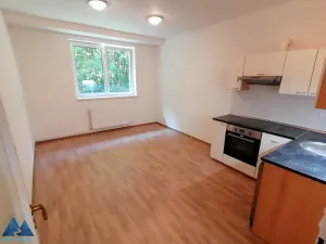 Pronájem bytu 3+kk, Kunčice nad Labem, 56 m2