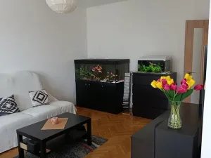 Prodej bytu 2+1, Třebíč, Družstevní, 53 m2