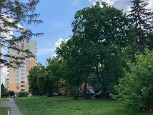 Prodej bytu 3+1, Praha - Záběhlice, Topolová, 72 m2