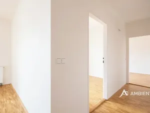 Prodej bytu 4+kk, Brno, Čápkova, 141 m2