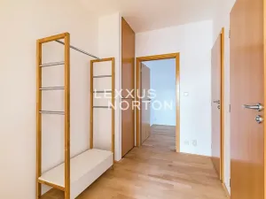 Pronájem atypického bytu, Praha - Vinohrady, Mánesova, 90 m2