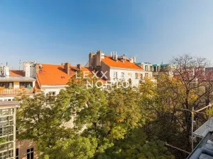 Pronájem atypického bytu, Praha - Vinohrady, Mánesova, 90 m2