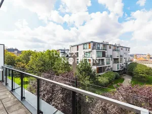 Pronájem bytu 4+kk, Praha - Vinohrady, Italská, 115 m2