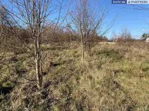 Prodej pozemku pro bydlení, Frýdlant nad Ostravicí, Havlíčkova, 6279 m2