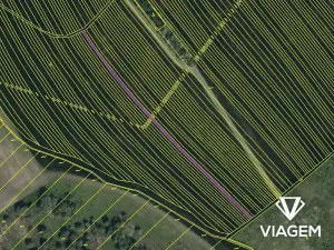 Prodej podílu pole, Blatnice pod Svatým Antonínkem, 645 m2