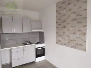 Pronájem bytu 1+kk, Ostrava, Bohumínská, 27 m2