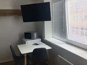 Pronájem bytu 1+kk, Přerov, 30 m2