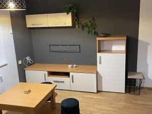 Pronájem bytu 2+kk, Prostějov, 50 m2