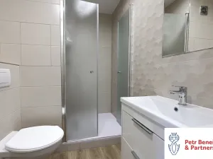 Pronájem bytu 2+kk, Plzeň, Karla Steinera, 36 m2