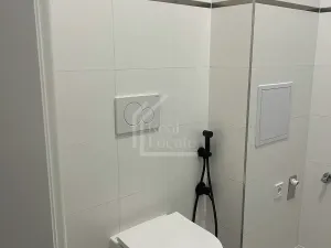 Pronájem bytu 1+1, Praha - Smíchov, Plzeňská, 46 m2