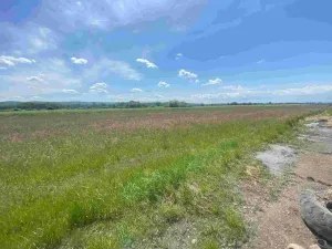 Prodej pozemku, Kravaře, 2873 m2