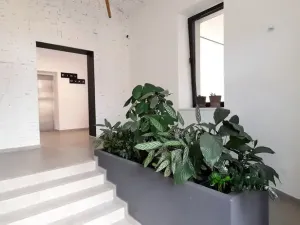 Pronájem bytu 1+kk, Hradec Králové - Kukleny, Pražská třída, 30 m2