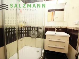 Pronájem bytu 3+1, Plzeň, Pod Švabinami, 74 m2
