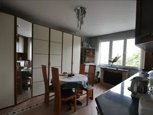 Pronájem bytu 1+1, Praha - Břevnov, Nad alejí, 56 m2
