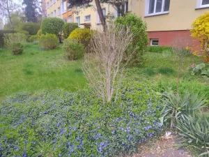 Prodej bytu 2+1, Praha - Malešice, Nad vodovodem, 53 m2