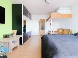 Prodej vícegeneračního domu, Staré Město, 144 m2