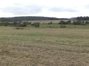 Prodej pole, Tachov, 842 m2