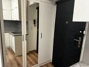 Pronájem bytu 1+1, Praha - Vinohrady, Řipská, 40 m2