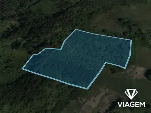 Prodej lesa, Vsetín, Rokytnice, 13331 m2