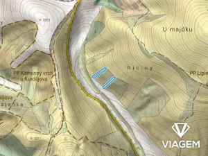 Prodej lesa, Kurdějov, 2462 m2