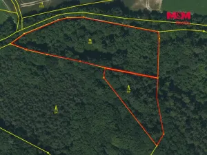 Prodej lesa, Plzeň - Červený Hrádek, 6522 m2
