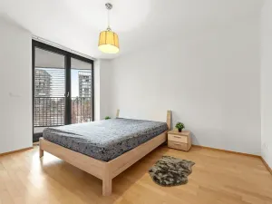 Prodej bytu 2+kk, Praha - Žižkov, Pitterova, 52 m2