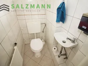 Prodej rodinného domu, Horšovský Týn, 280 m2