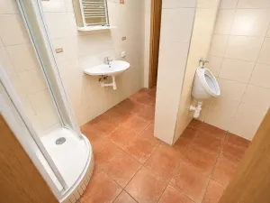 Prodej rodinného domu, Heřmanův Městec, Za Pektinou, 162 m2