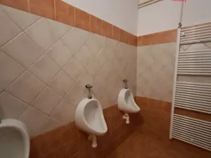 Prodej ubytování, Široká Niva, 300 m2