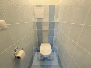 Pronájem bytu 3+kk, Klecany, V Honech, 63 m2
