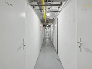 Prodej bytu 1+1, Brno, Dvorského, 39 m2